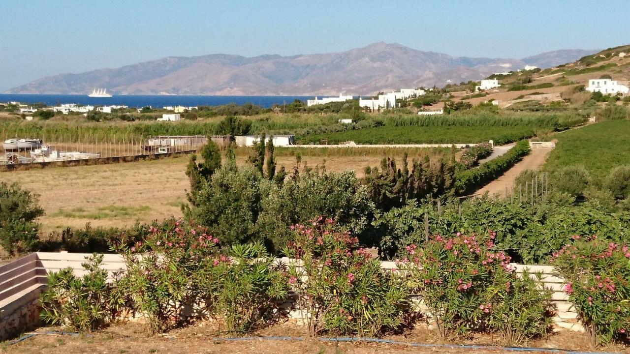Villa Kampos Naousa-Marpisa Ambelas Extérieur photo